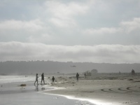 beach party with Navy helicopters.jpg